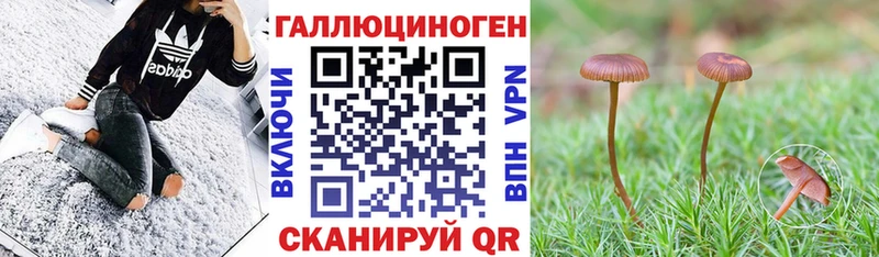 Псилоцибиновые грибы мухоморы  магазин продажи наркотиков  Нововоронеж 